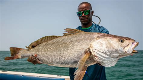 angola fishing packages|Game Fishing Angola .